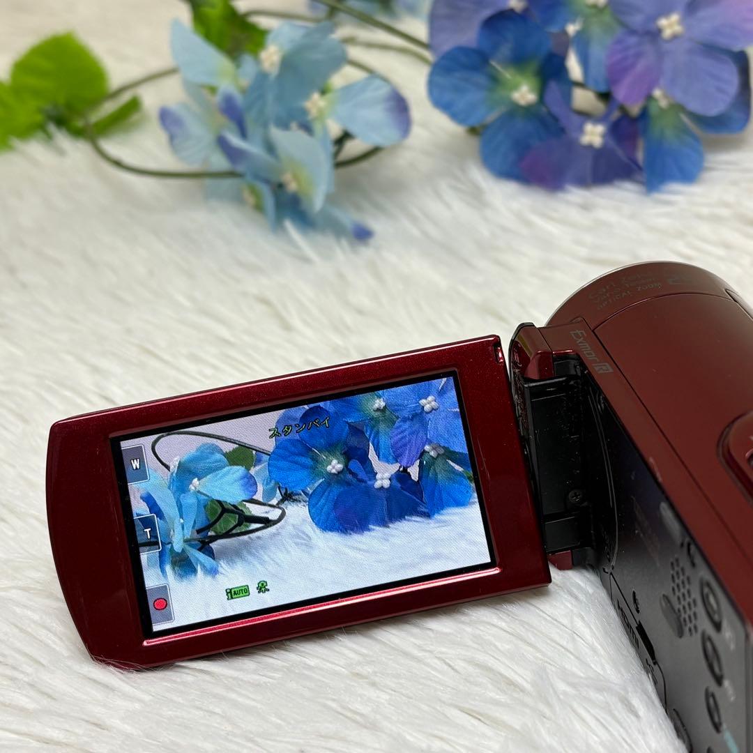 SONY ビデオカメラ　ハンディカム　HDR-CX170 充電器　レッド　動作品