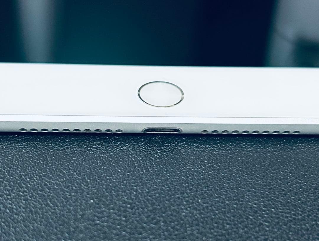 盛*翔様 iPad mini 第5世代 256GB セルラーモデル