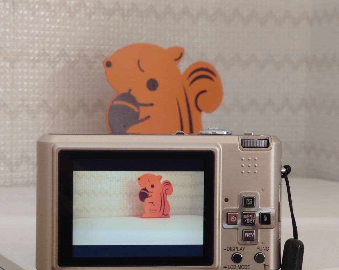 Panasonic LUMIX DMC-FX100 デジタルカメラ【動作確認済】