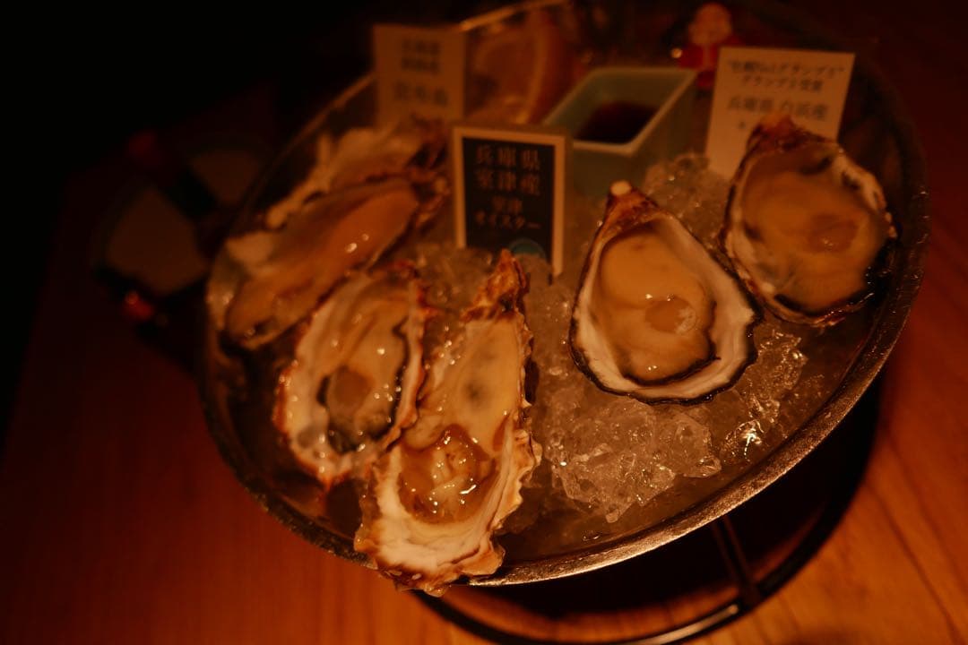 leica d-lux typ109 完動品