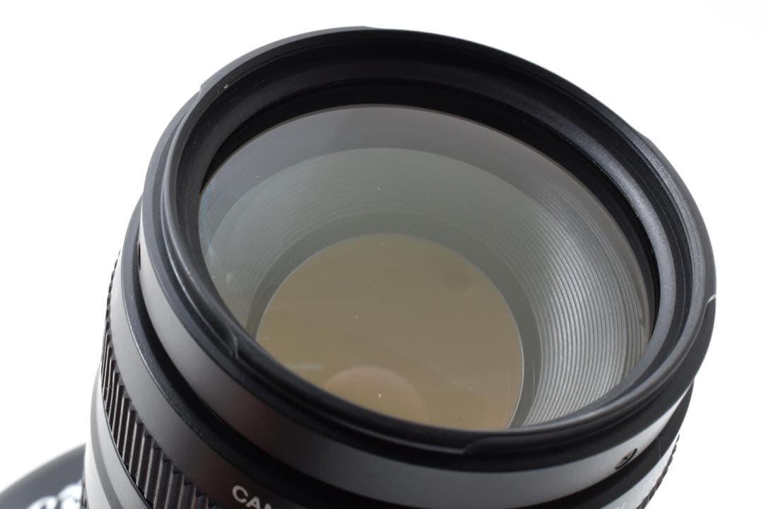 デジタルカメラ Canon EOS 6D Mark II / Canon EF75-300mm