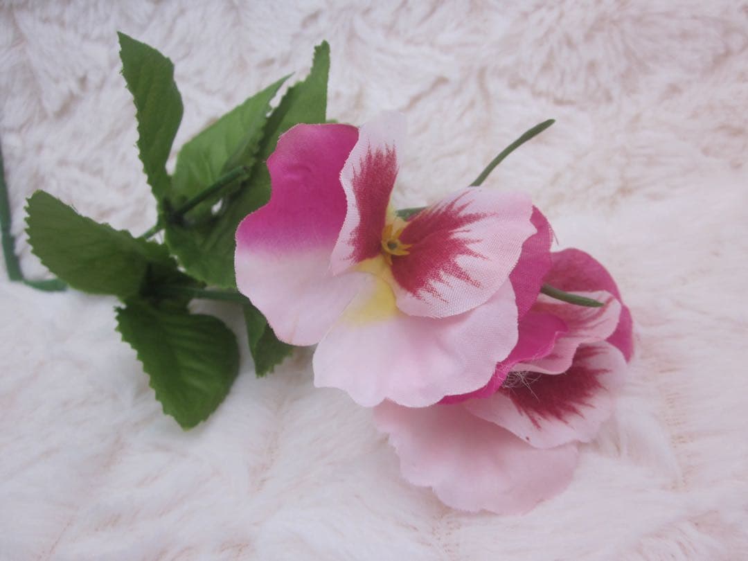 Canon IXY 200F シルバー