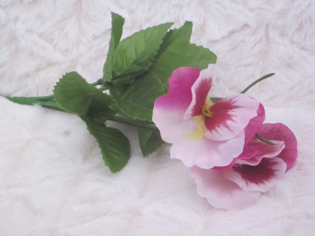 Canon IXY 200F シルバー