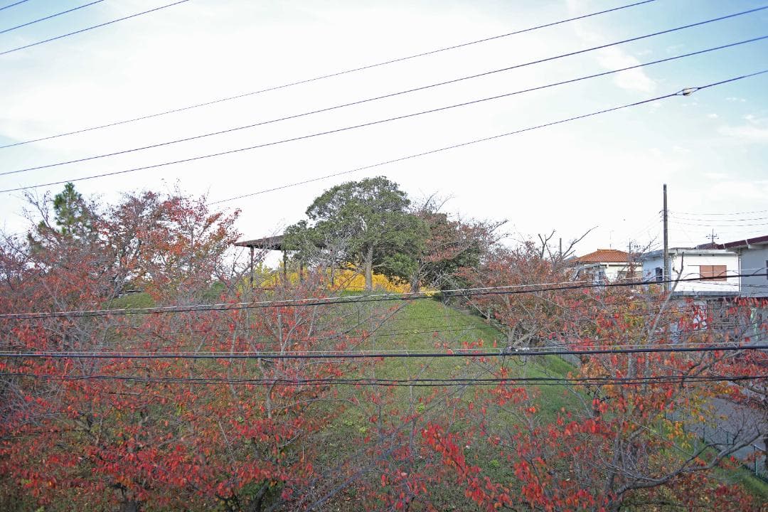 レンズ(単焦点) Carl Zeiss Distagon 35mm F2.8 AEJ #7781