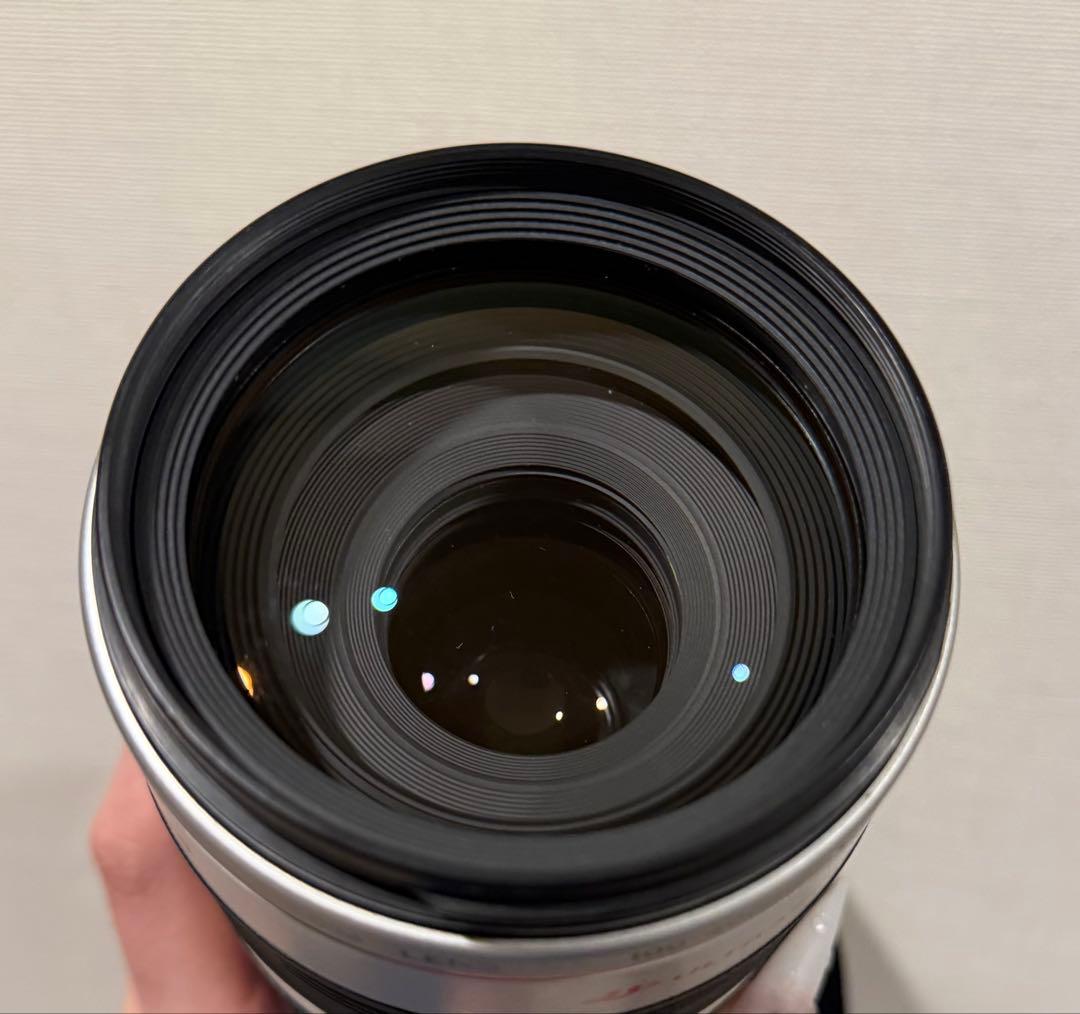 レンズ(ズーム) Canon EF 100-400mm f4.5-5.6L IS USM