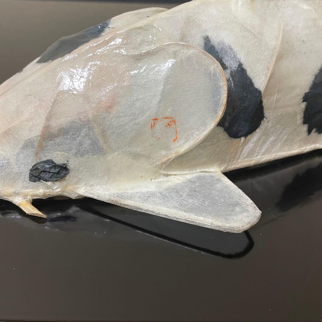 張子　錦鯉 C ツヤあり