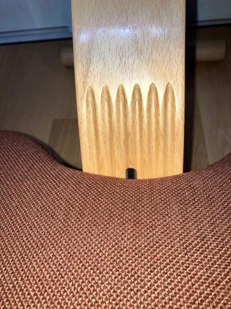 美品　バランスイージー バランスチェア リボ社 新品カバー付(アガットレッド)