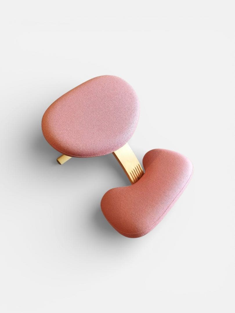 美品　バランスイージー バランスチェア リボ社 新品カバー付(アガットレッド)