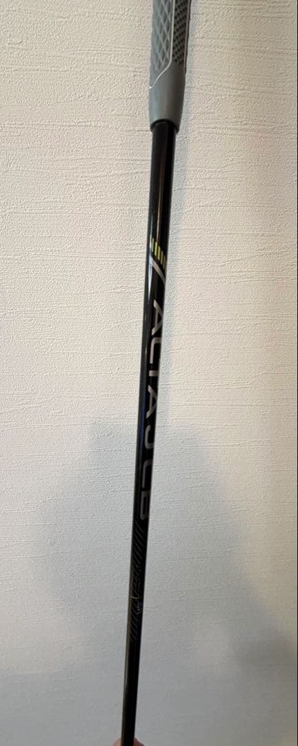 ピン　PING ALTA JCB ブラック　6U ユーティリティ用