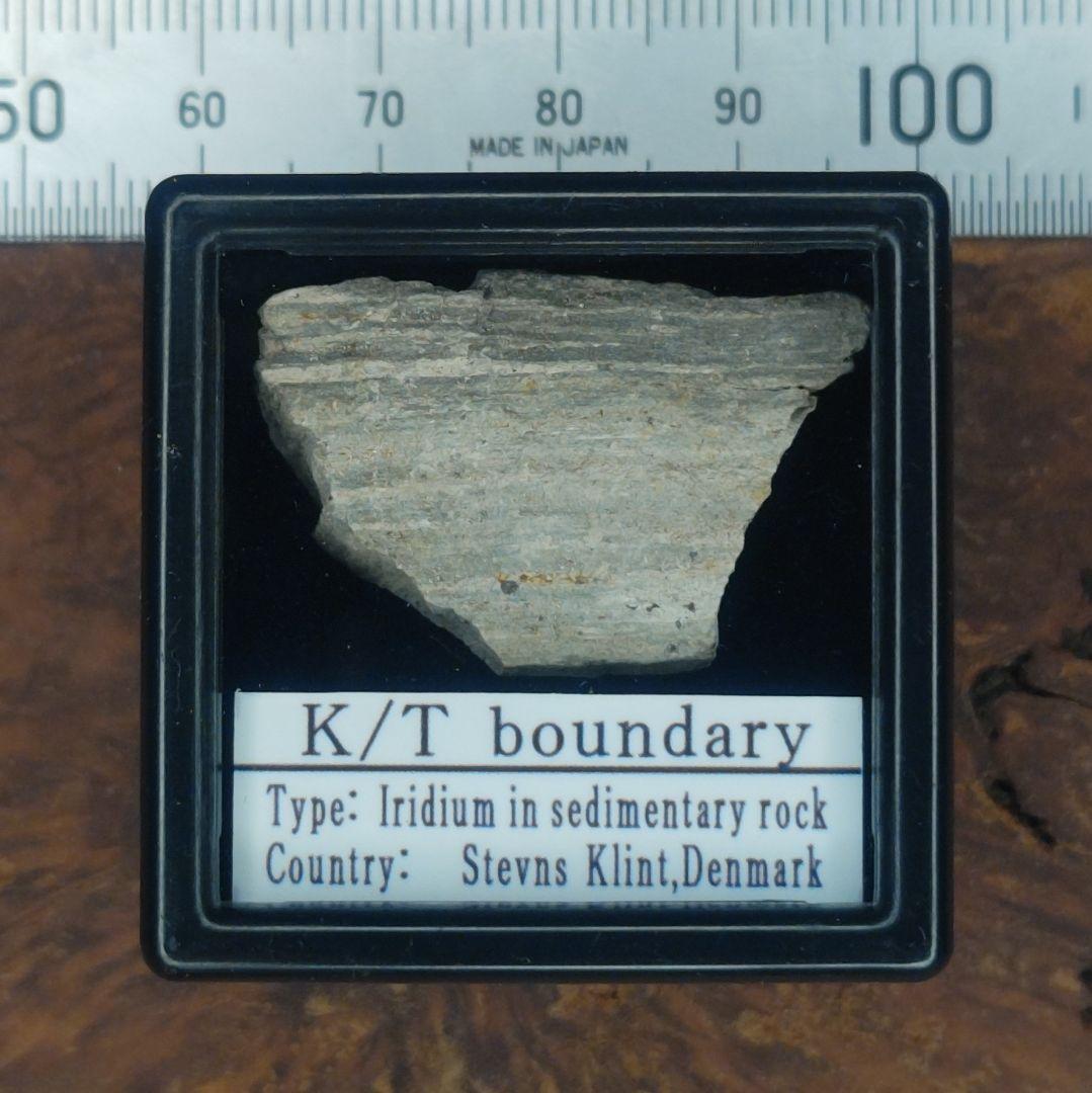 ✨入手不可！小惑星のかけら Ｋ-Ｔ境界層（K/Pg境界頁岩）標本大