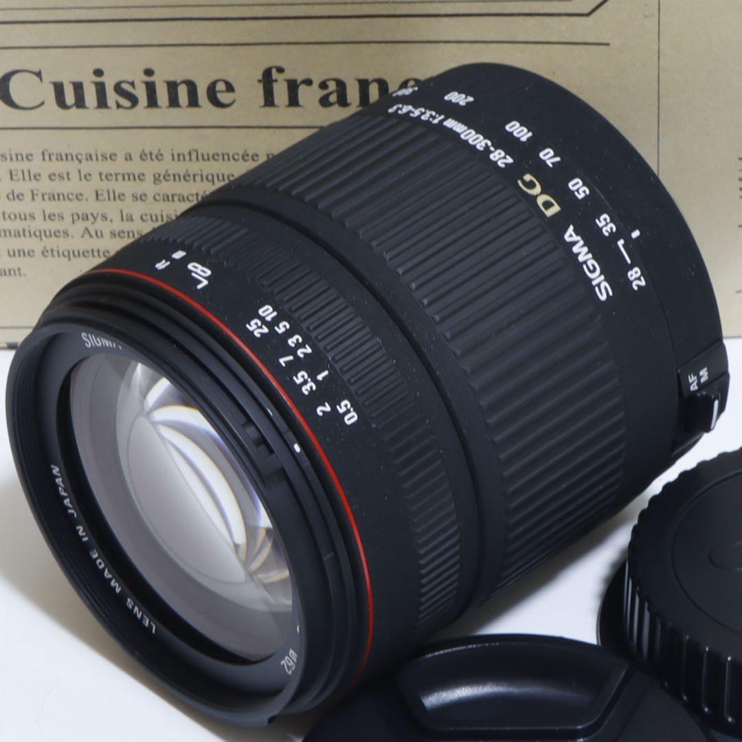 ☆一本で標準+超望遠レンズ☆ Sigma 28-300mm for Canon☆