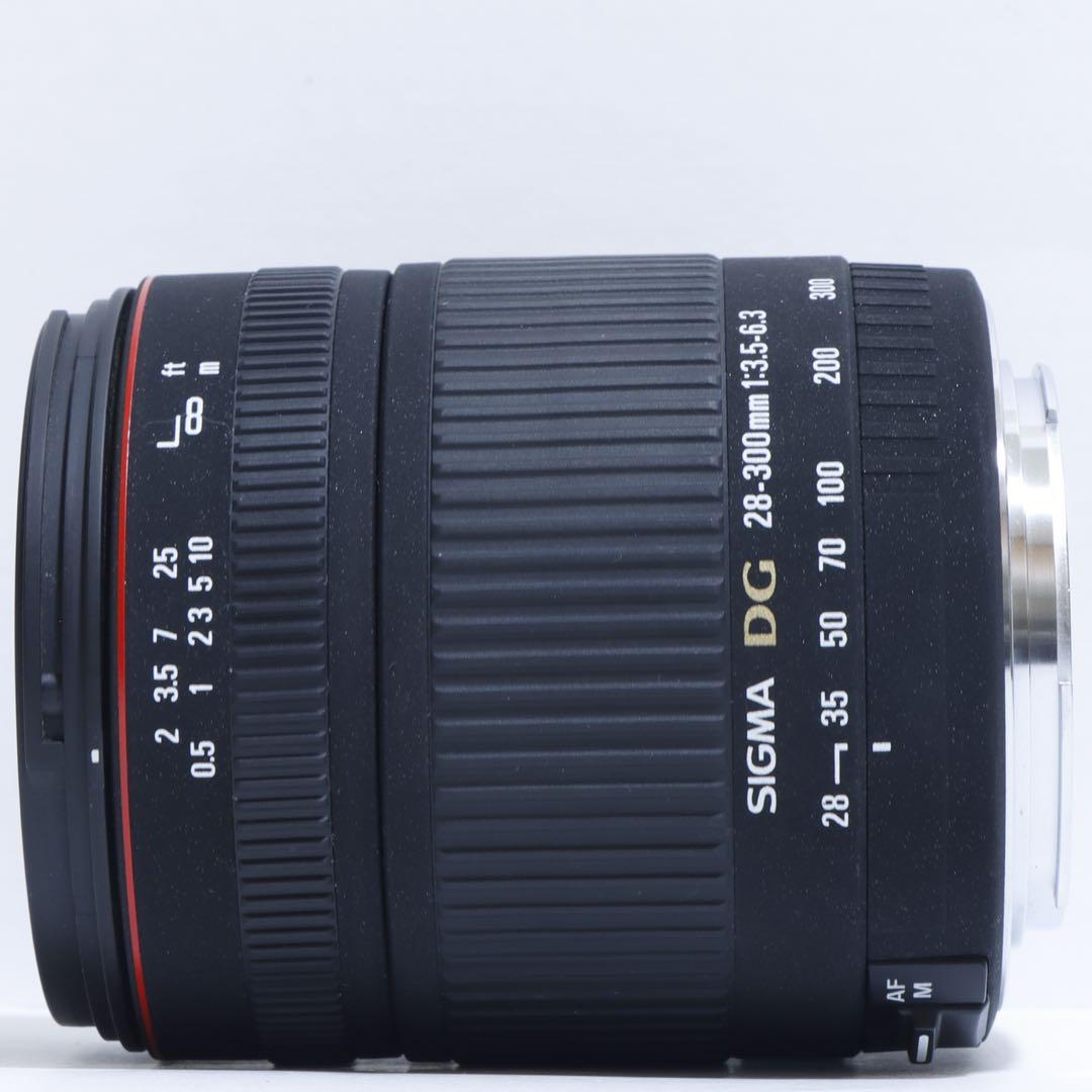 ☆一本で標準+超望遠レンズ☆ Sigma 28-300mm for Canon☆
