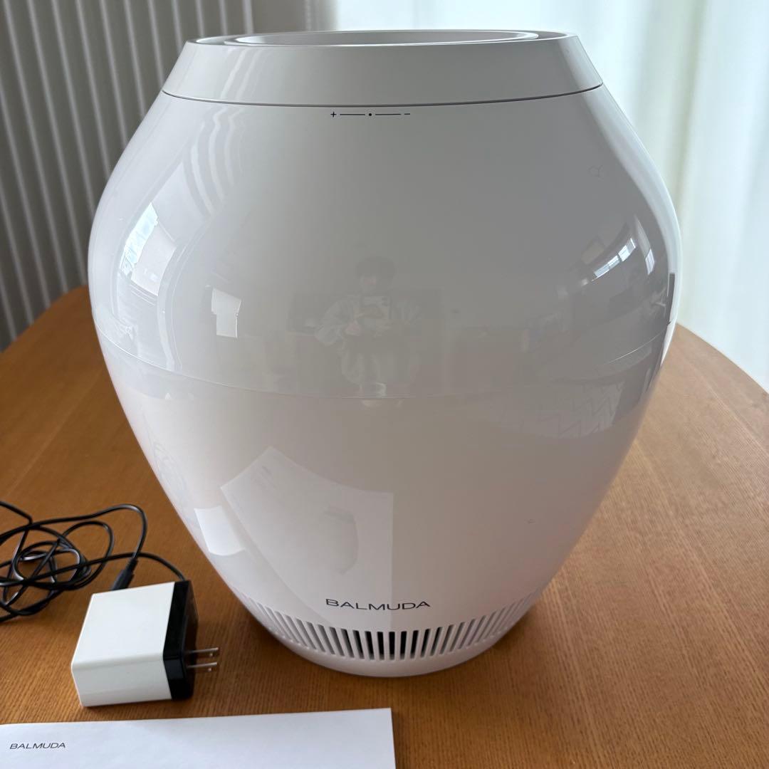 バルミューダ　レイン ERN-1000SD BALMUDA フィルター新品