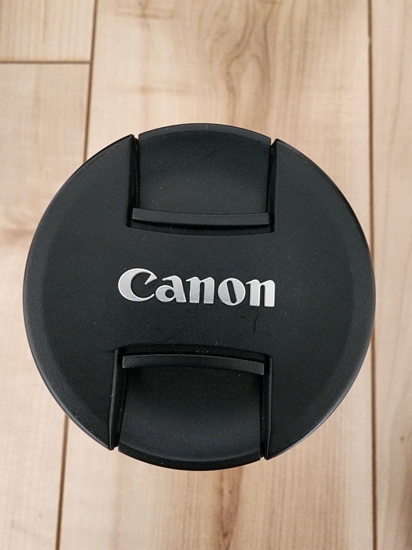 【動作確認済】Canon EOS R6 RF 24-105mm レンズキット