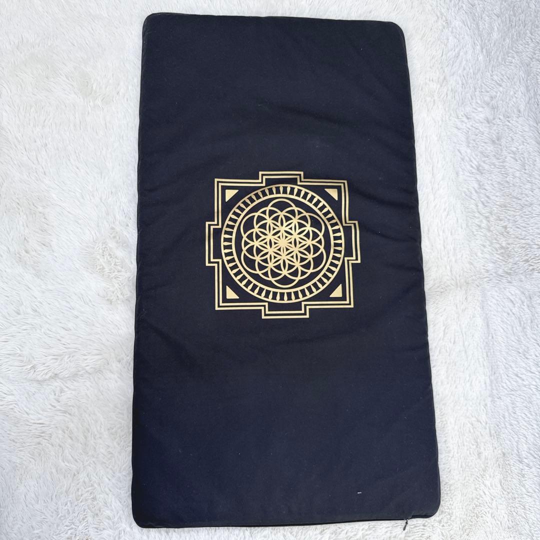 シャクティマット Shakti 剣山マットシャクティ シャクティセット 正規品