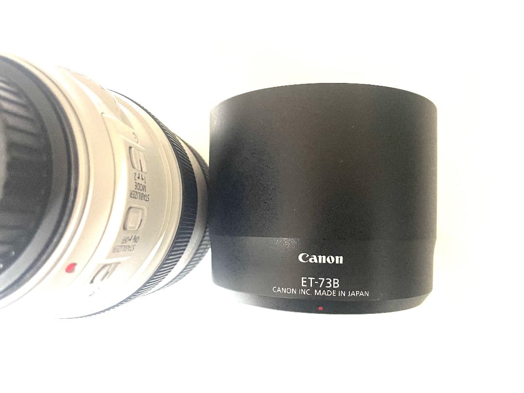 レンズ(ズーム) Canon EF 70-300mm f/4-5.6L IS USM