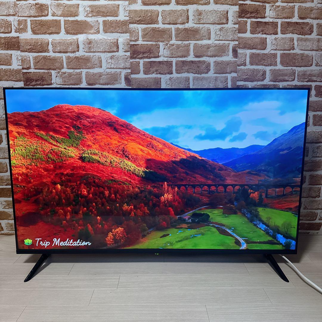 WIS ASTEX チューナーレス　液晶　テレビ　AX-MSK50 50インチ