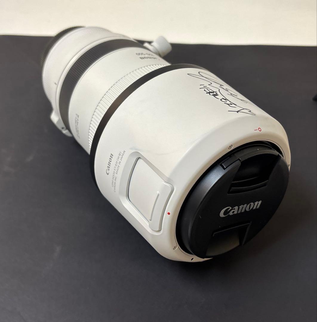 Canon キャノン RF100-500mm F4.5-7.1 L IS USM