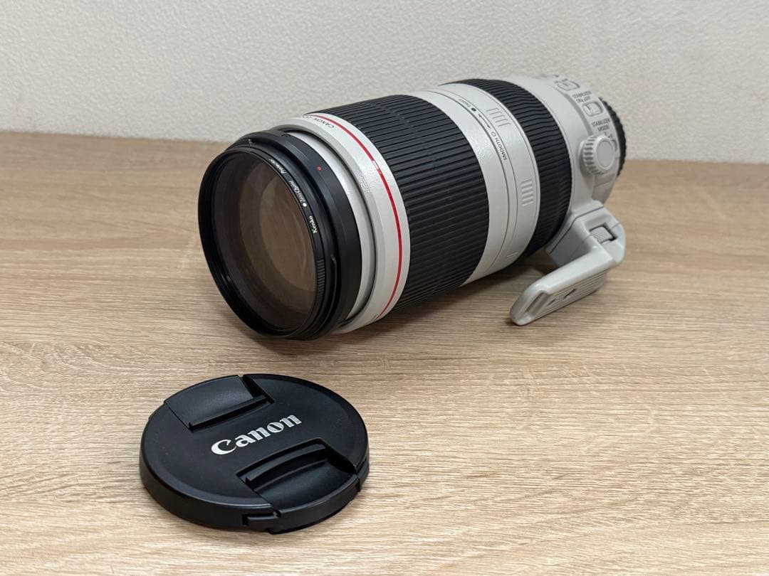 Canon望遠レンズEF100-400mmf4.5-5.6L IS II USM