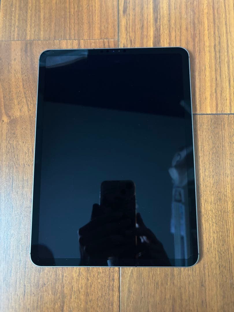 iPadPro 11インチ 256gb (バッテリー残量90％)