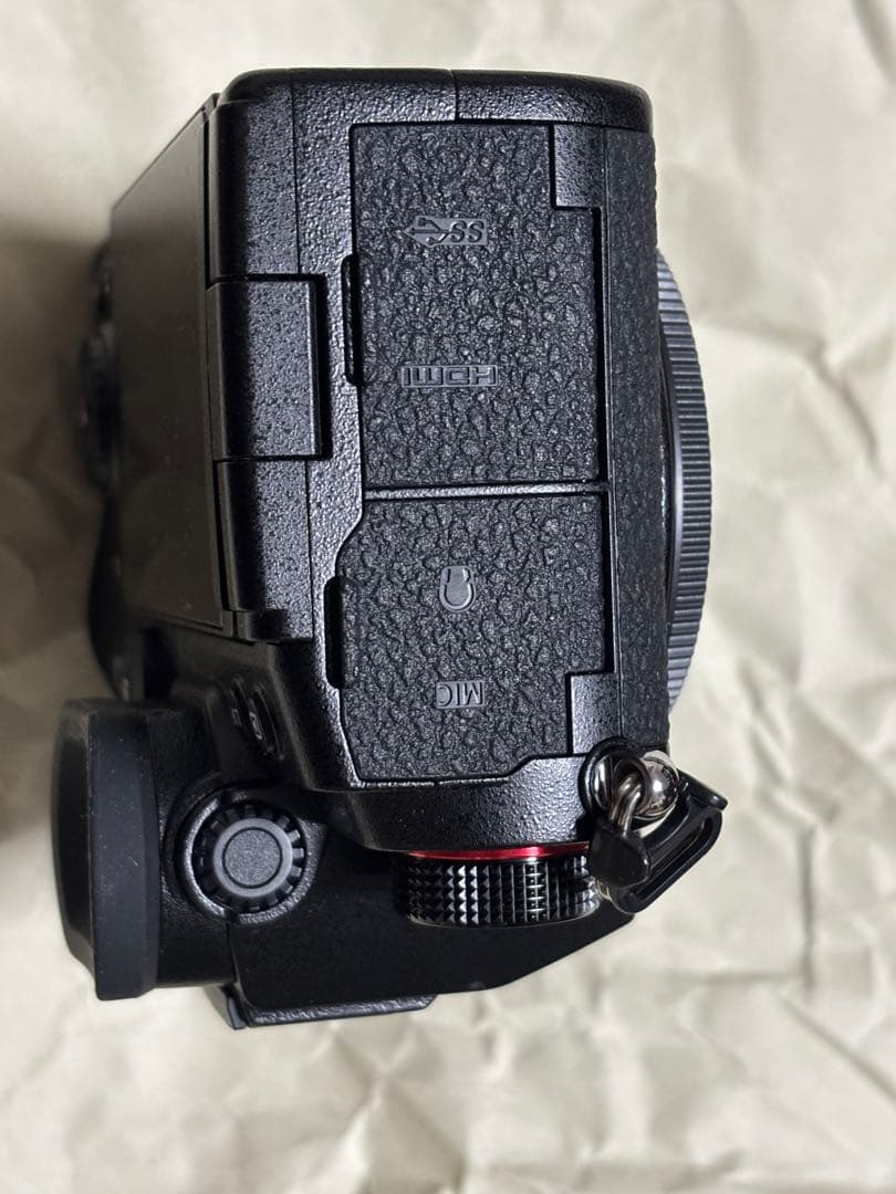 足*臭様 Panasonic LUMIX S5 レンズキット ショット数約150