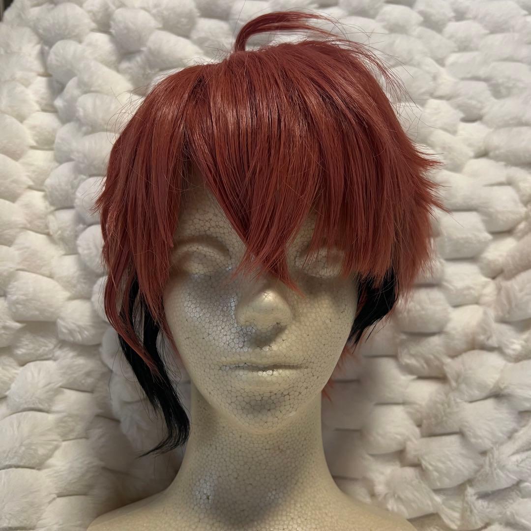 にじさんじ 赤城ウェン コスプレ ウィッグ付き