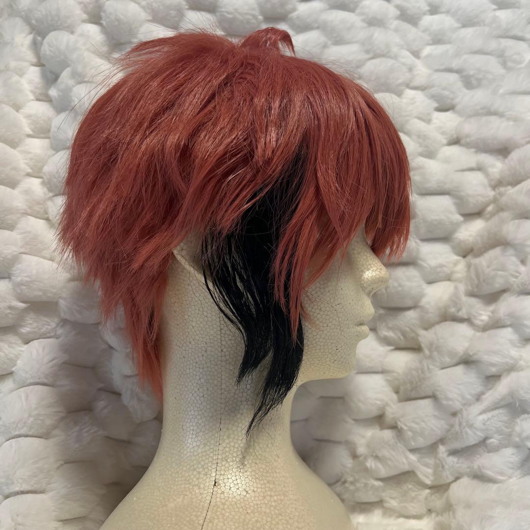 にじさんじ 赤城ウェン コスプレ ウィッグ付き