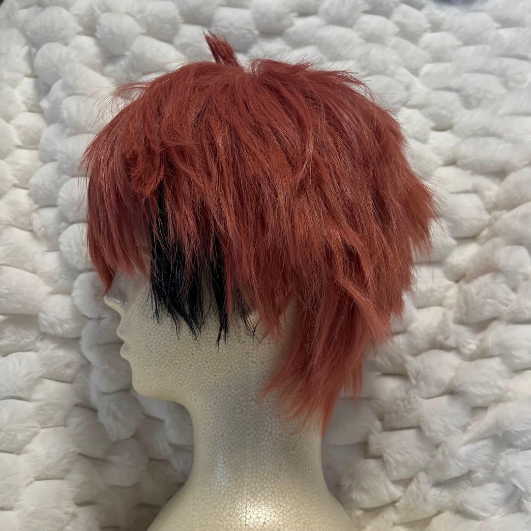 にじさんじ 赤城ウェン コスプレ ウィッグ付き