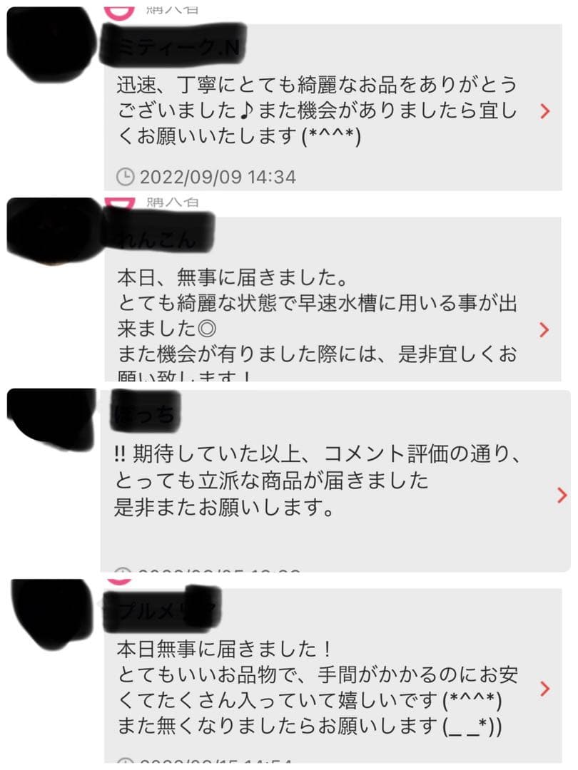 沖縄県やんばる産マジックリーフ 2kg UV殺菌灯照射済み①