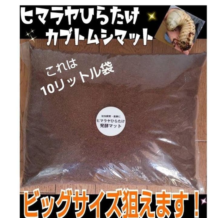カブトムシ幼虫の大量飼育に！たっぷり100リットル【10袋】高品質の発酵マット