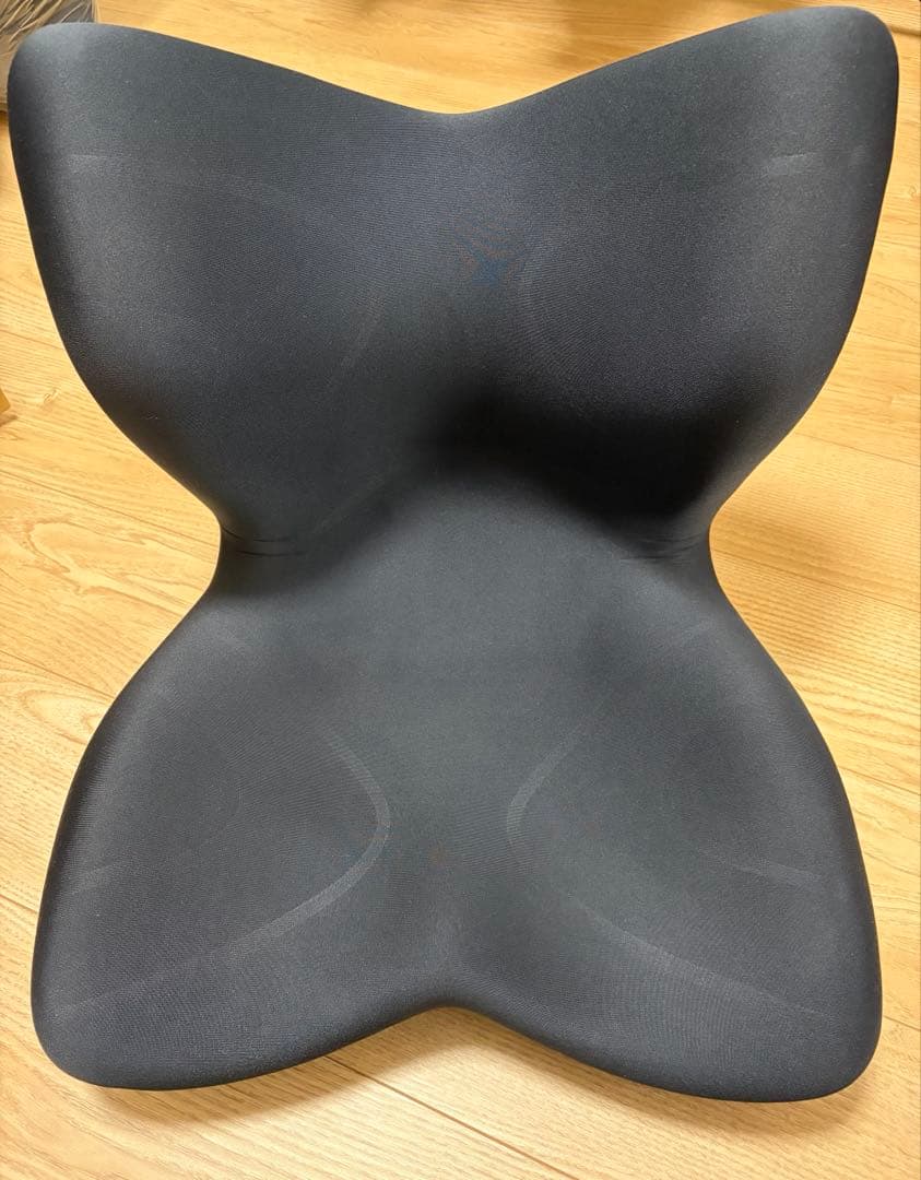 スタイルプレミアム ブラックStyle PREMIUM MTG 骨盤