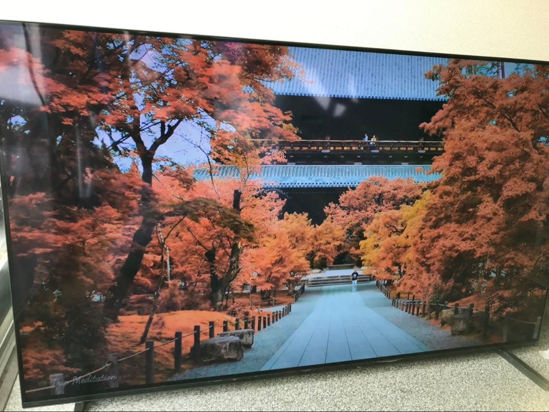 XRJ-55A80J ソニー　55V 4k有機EL テレビ　sony 55インチ