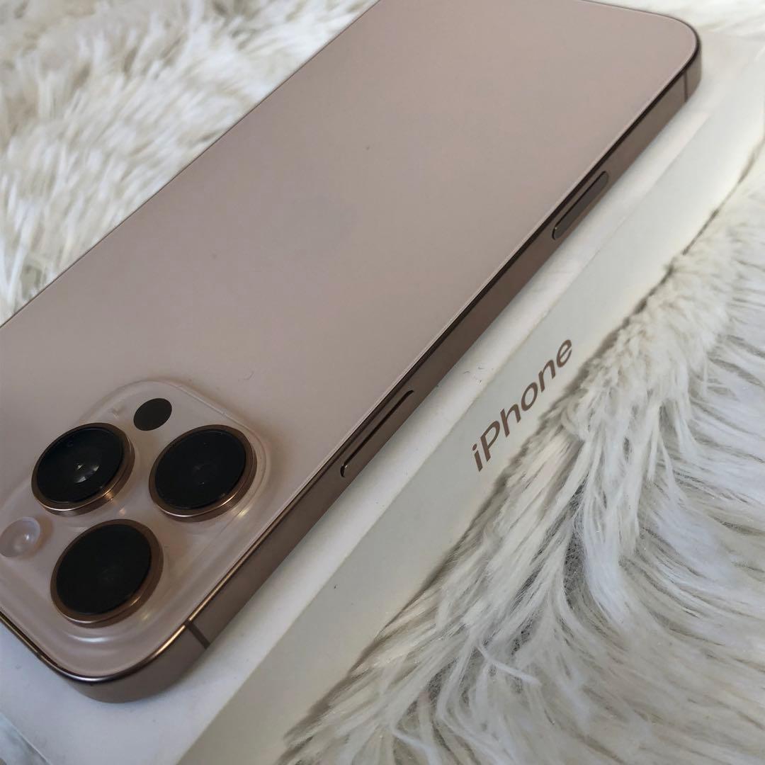 【早い者勝ち】iPhone 16 Pro max 1TB 100%