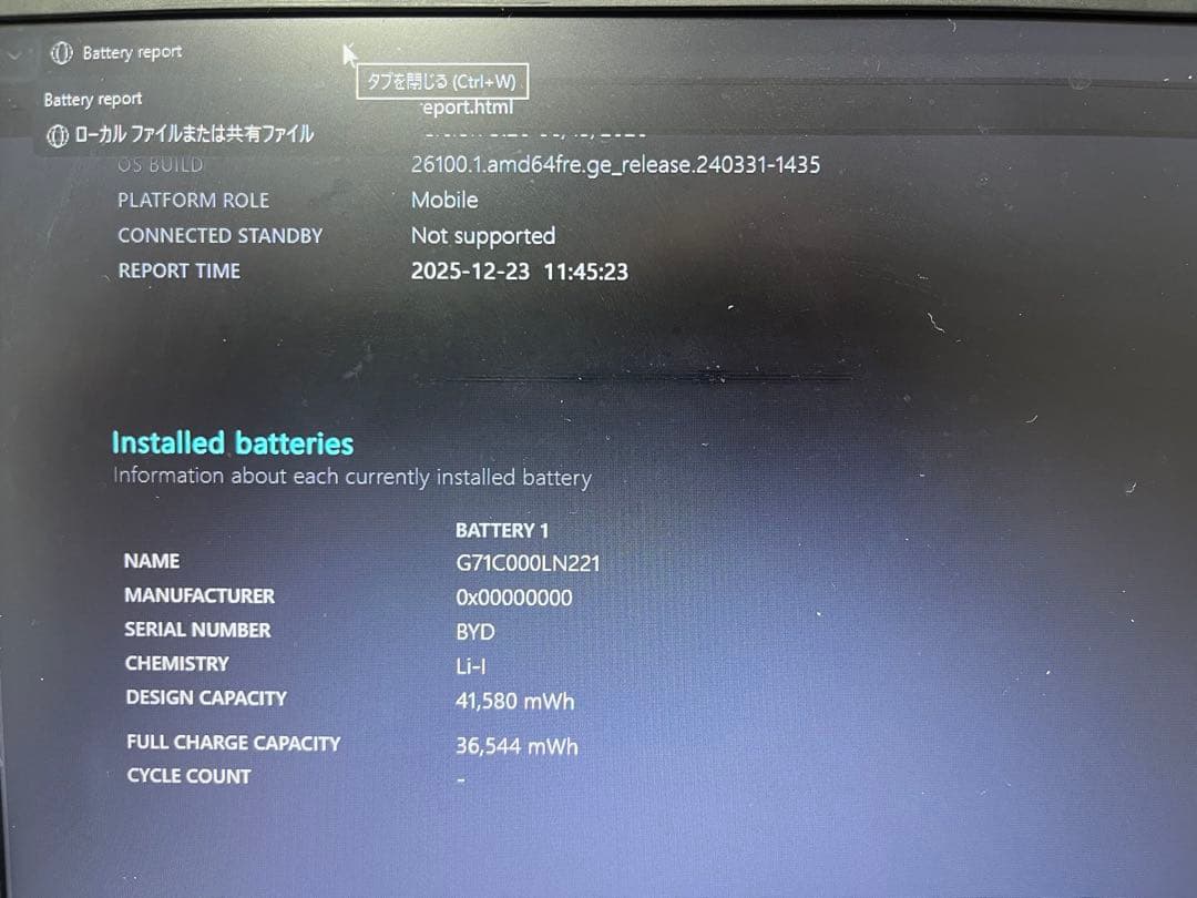 Windowsノート本体 dynabook S73/FR(i7 10th 16GB 500GB)