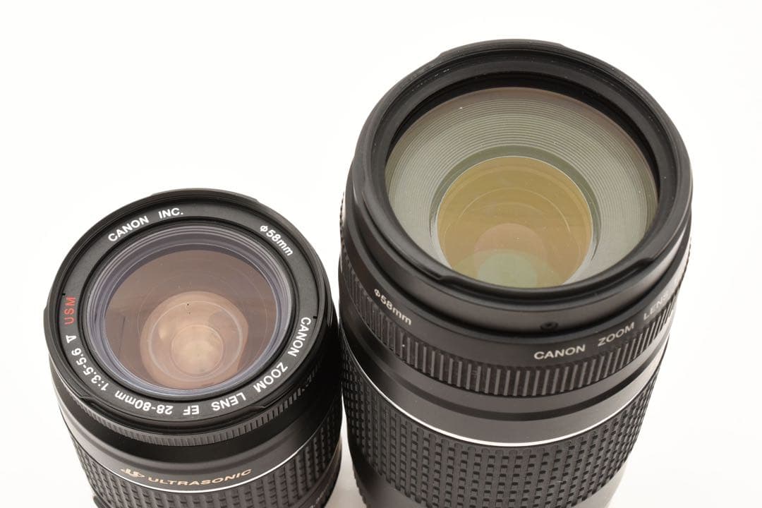 一眼レフCanon EOS 6D mark II標準&望遠ダブルレンズセット