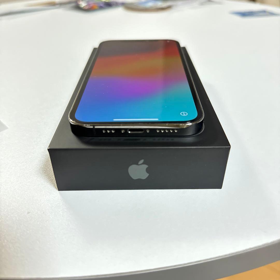iPhone 12 pro グラファイト 256 GB docomo