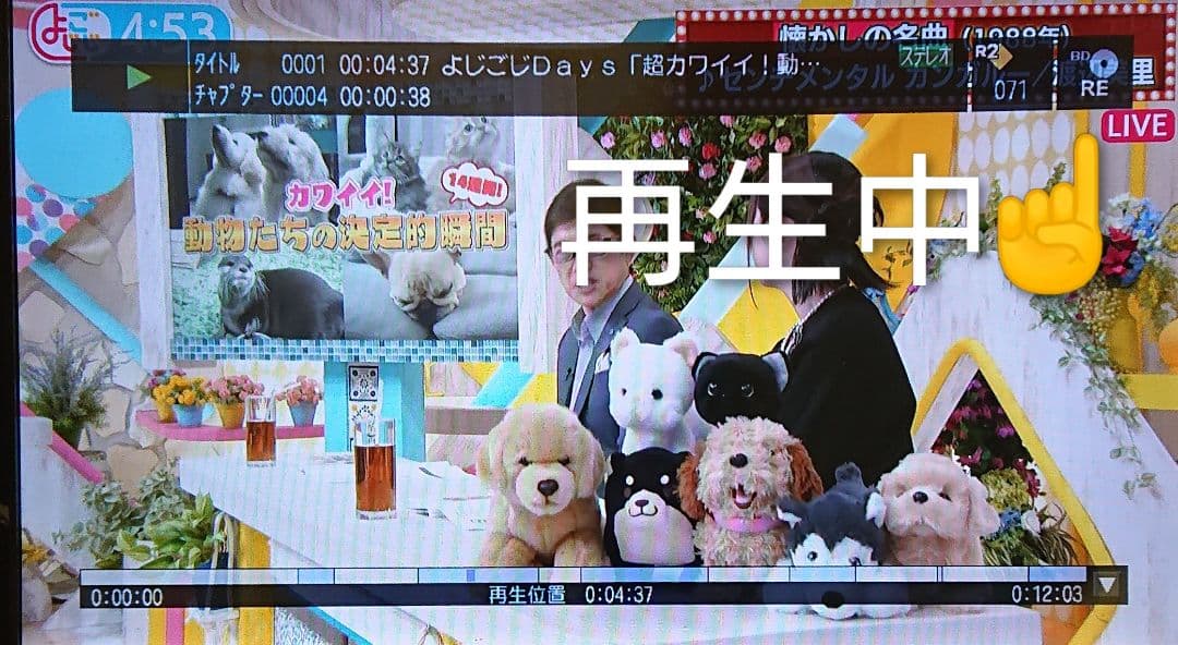 2TB/東芝/DBR-Z160/レグザ/外付HDD/CMスキップ/リモ付/動作品