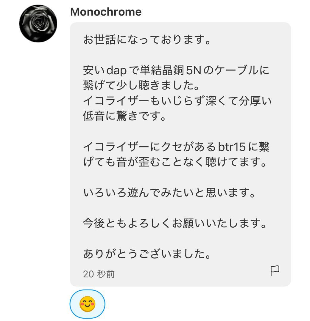 【極上の音響体験と快適性】XELENTO 第1世代 DIYエディション 光沢仕上