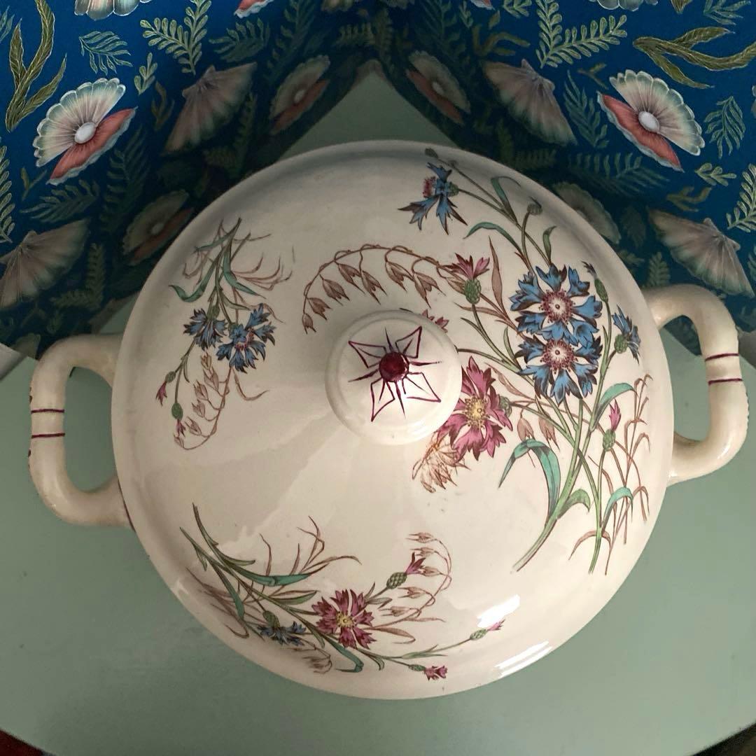 ちーちゃんページです。リュネヴィルBLEUET　矢車菊スーピエル