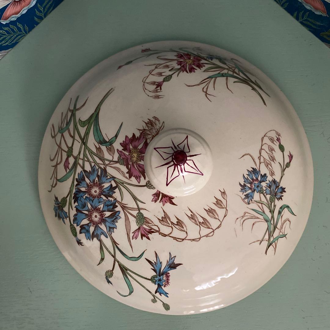 ちーちゃんページです。リュネヴィルBLEUET　矢車菊スーピエル