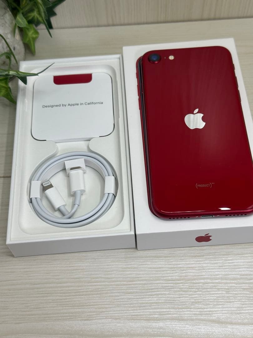 ✅新品・未使用 iPhone SE 第3世代 128GB ⭐️❣️訳あり品