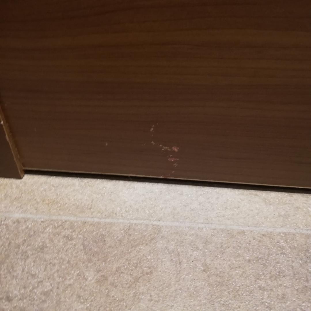 美品♠Paradies 電動リクライニングベット すのこタイプ