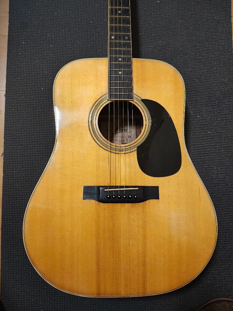 JAPANビンテージ Aria W-250/オマケ付き