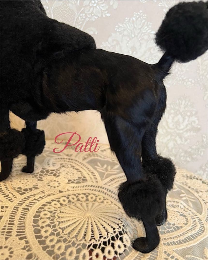BLACK❤︎ブラックプードル★リアルな置き物❤︎