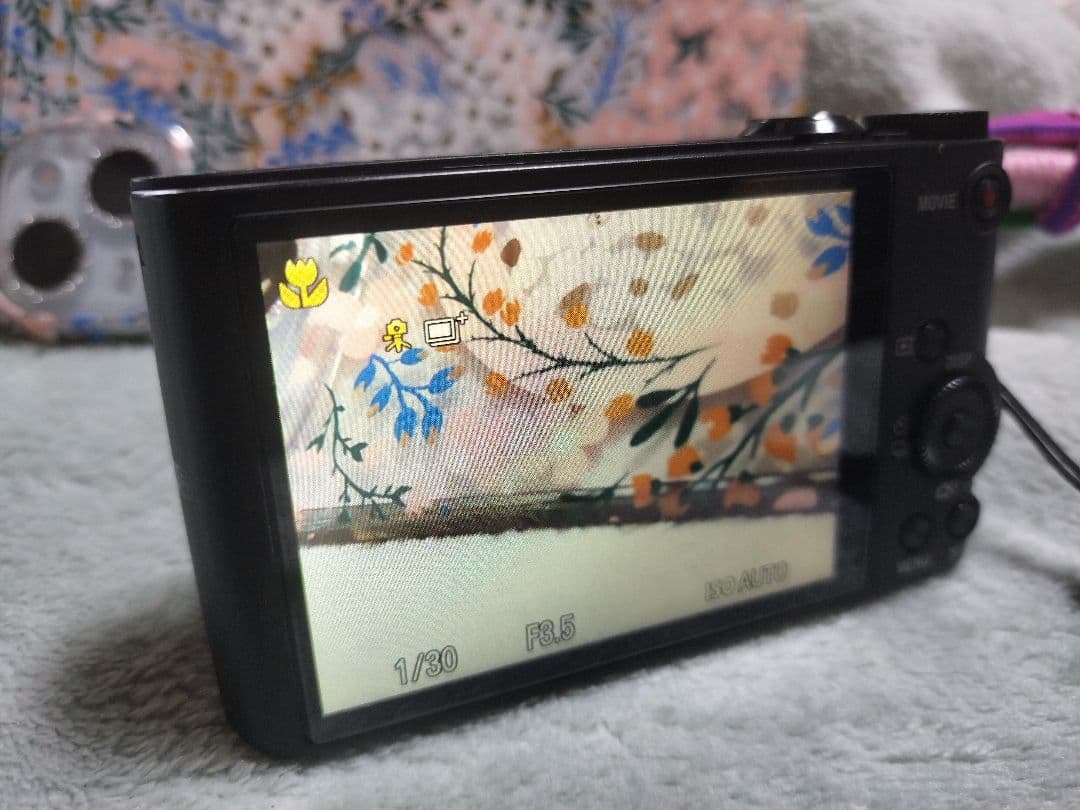 SONY DSC-WX350 20倍光学ズーム コンパクトデジカメ　動作確認済