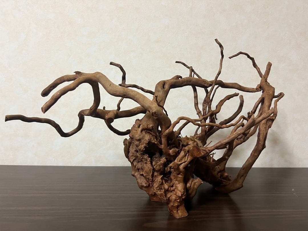 51608 ブランチウッド　流木　アクアリウム 沈水確認済