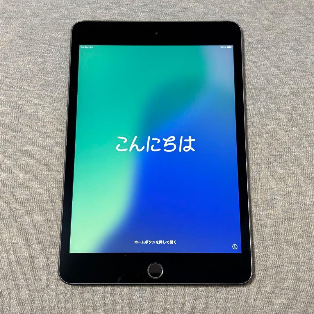 【美品】iPad mini（第5世代） 256g SIMフリー 箱付き