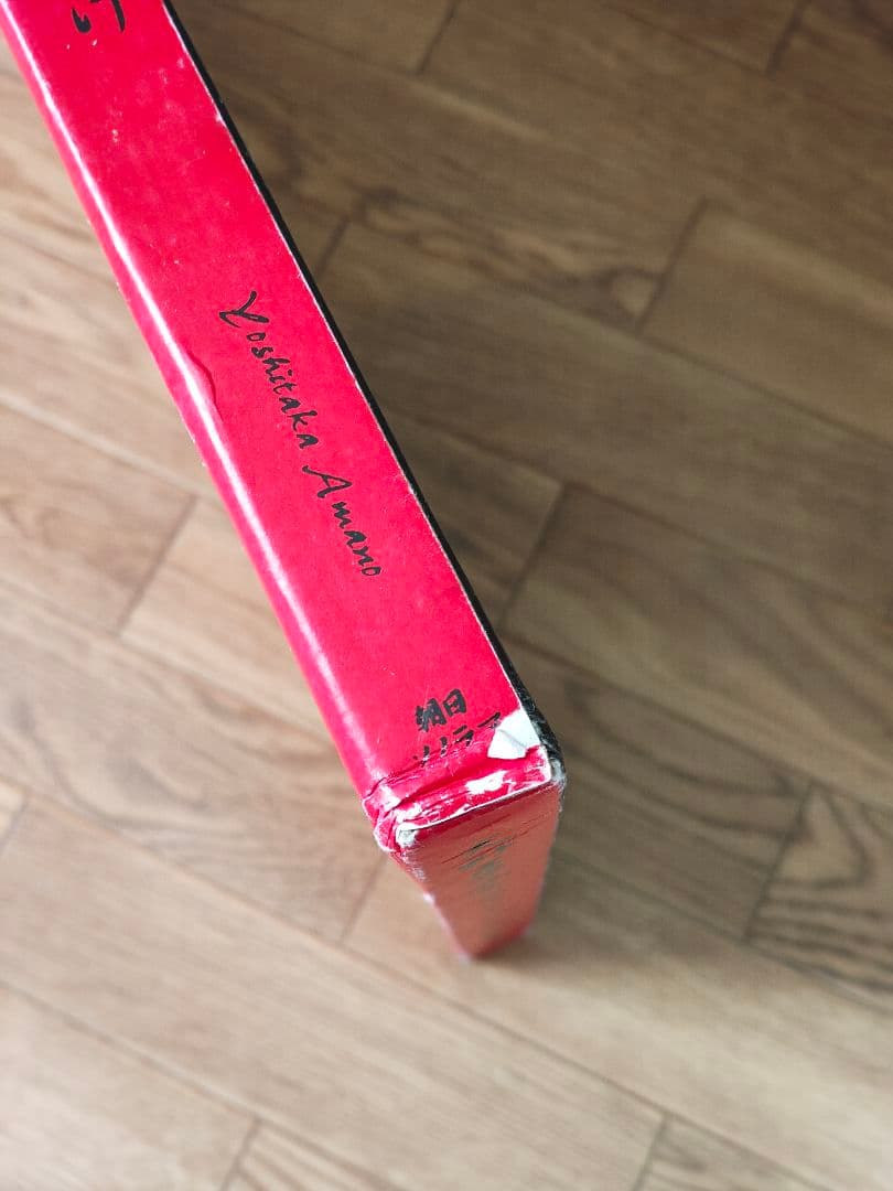 【大判・希少】天野喜孝 画集「かんおけ」吸血鬼ハンターD｜状態難あり