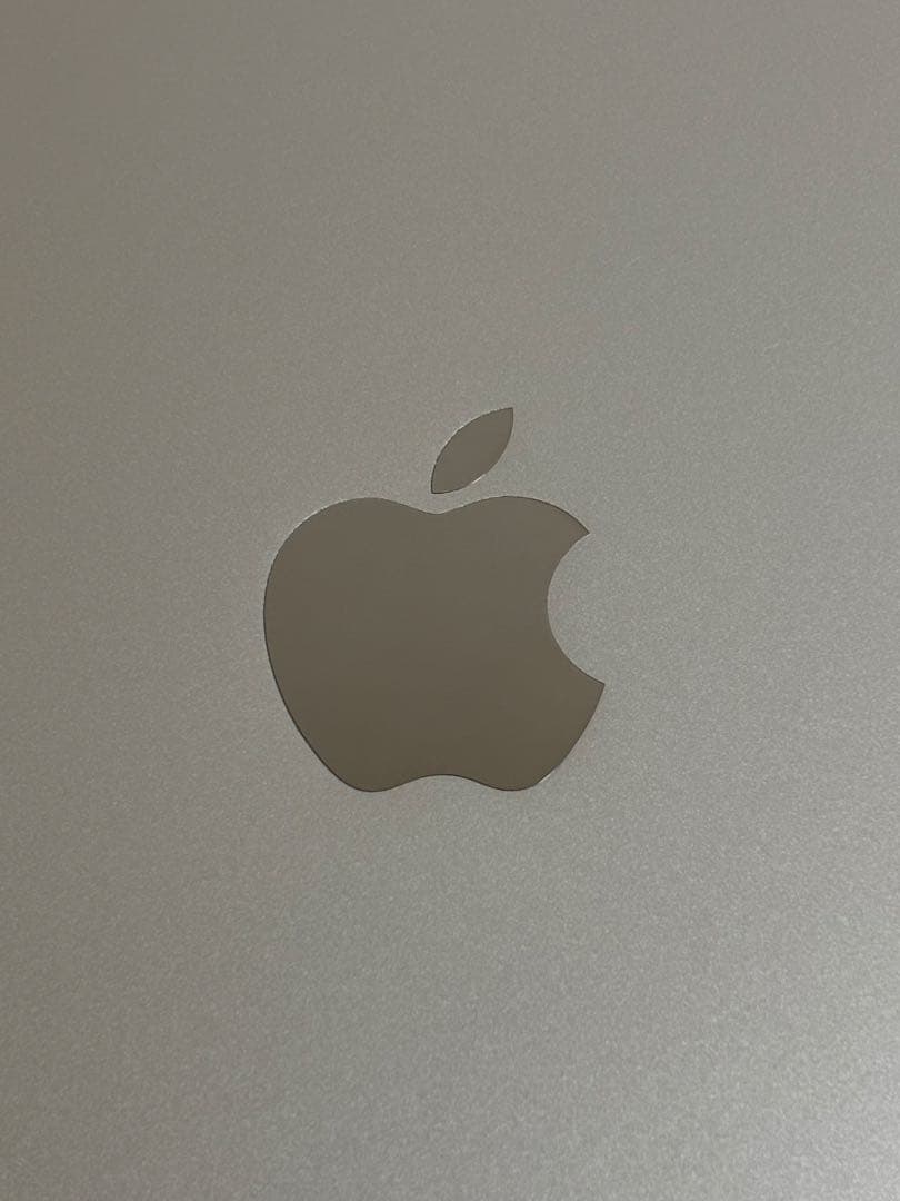 iPad 第6世代 Wi-Fi + Cellular シルバー バッテリー95%