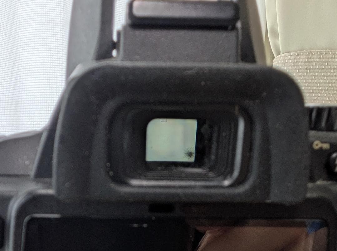 Nikon D60 　ダブルズーム（ボディはバッタ相応価格+レンズ2本の価格）